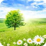 nature wallpapers 4k android application logo